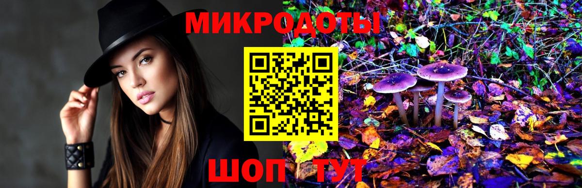 как найти наркотики  Галлюциногенные грибы мухоморы  Псилоцибиновые грибы GOLDEN TEACHER  Вход с VPN  Владимир 