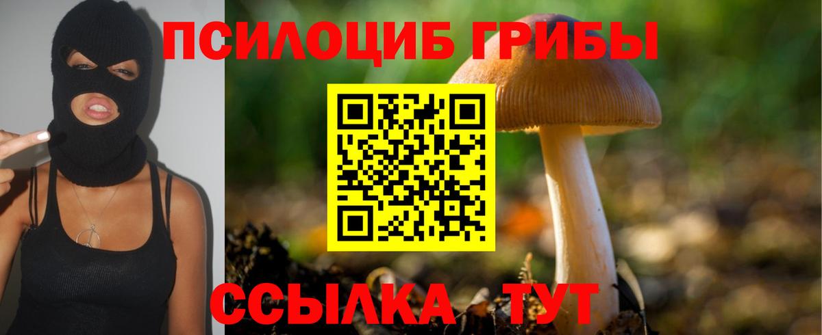 Галлюциногенные грибы прущие грибы Владимир